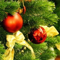 C Новым 2012 годом!
